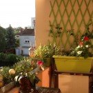 le balcon