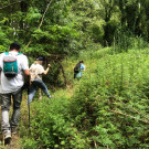 Sortie nature