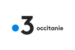 Fest'Oz Rodez, retour en images