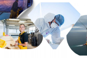 Forum des métiers de la mer/ Escale à Sète